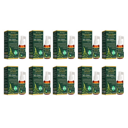 🫁⚡✅Official Store:CareRegen® Botanical Mullein Leaf Extract Lung Cleanse Spray（🫁Directly acts on COPD, asthma, chronic bronchitis (CB), respiratory infections, lung cancer, sinusitis, and other conditions🫁）🌞