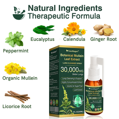 🫁⚡✅Official Store:CareRegen® Botanical Mullein Leaf Extract Lung Cleanse Spray（🫁Directly acts on COPD, asthma, chronic bronchitis (CB), respiratory infections, lung cancer, sinusitis, and other conditions🫁）🌞