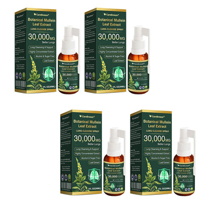 ✅Official Store:CareBreeze® Botanical Mullein Leaf Extract Lung Cleanse Spray（👨‍⚕️Directly acts on COPD, asthma, chronic bronchitis (CB), respiratory infections, lung cancer, sinusitis, and other conditions）