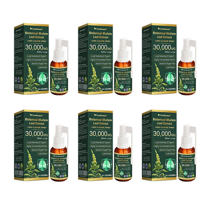 ✅Official Store:CareBreeze® Botanical Mullein Leaf Extract Lung Cleanse Spray（👨‍⚕️Directly acts on COPD, asthma, chronic bronchitis (CB), respiratory infections, lung cancer, sinusitis, and other conditions）