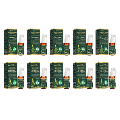 ✅Official Store:CareBreeze® Botanical Mullein Leaf Extract Lung Cleanse Spray（👨‍⚕️Directly acts on COPD, asthma, chronic bronchitis (CB), respiratory infections, lung cancer, sinusitis, and other conditions）