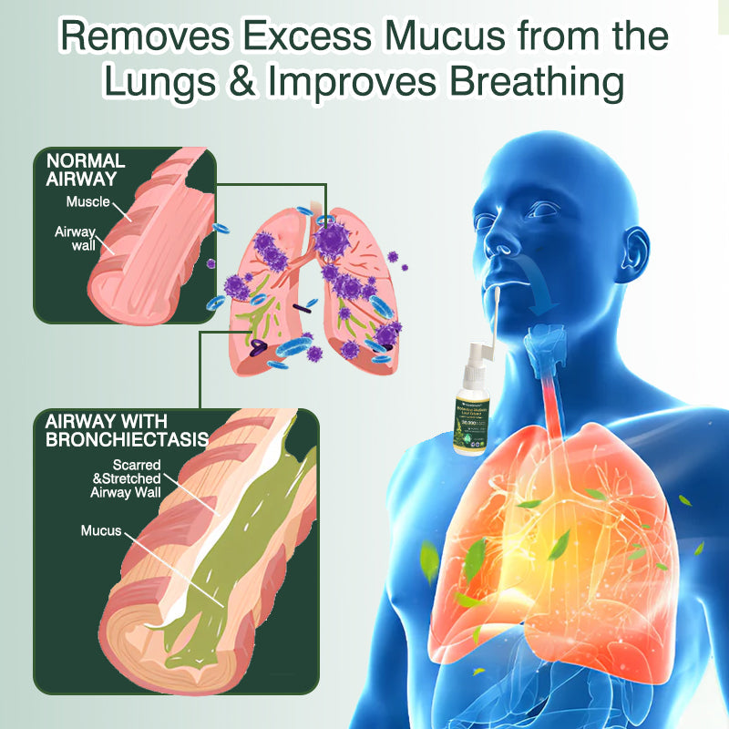 ✅Official Store:CareBreeze® Botanical Mullein Leaf Extract Lung Cleanse Spray（👨‍⚕️Directly acts on COPD, asthma, chronic bronchitis (CB), respiratory infections, lung cancer, sinusitis, and other conditions）