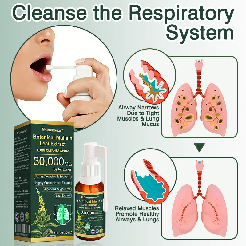 ✅Official Store:CareBreeze® Botanical Mullein Leaf Extract Lung Cleanse Spray（👨‍⚕️Directly acts on COPD, asthma, chronic bronchitis (CB), respiratory infections, lung cancer, sinusitis, and other conditions）