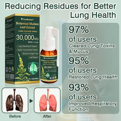 ✅Official Store:CareBreeze® Botanical Mullein Leaf Extract Lung Cleanse Spray（👨‍⚕️Directly acts on COPD, asthma, chronic bronchitis (CB), respiratory infections, lung cancer, sinusitis, and other conditions）