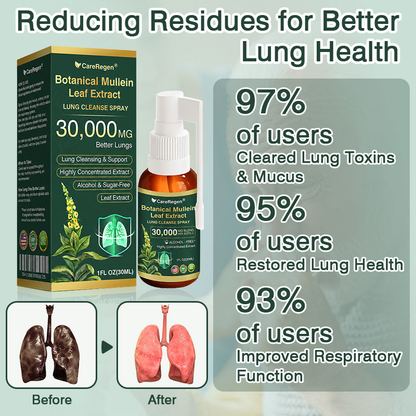 🫁⚡✅Official Store:CareRegen® Botanical Mullein Leaf Extract Lung Cleanse Spray（🫁Directly acts on COPD, asthma, chronic bronchitis (CB), respiratory infections, lung cancer, sinusitis, and other conditions🫁）🌞