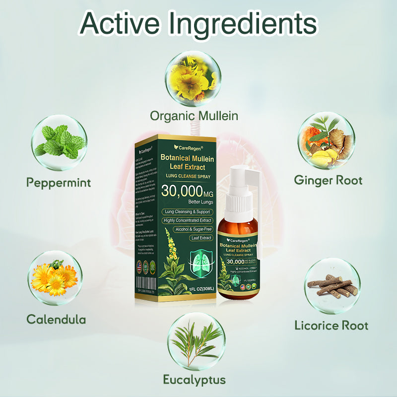 🫁⚡✅Official Store:CareRegen® Botanical Mullein Leaf Extract Lung Cleanse Spray（🫁Directly acts on COPD, asthma, chronic bronchitis (CB), respiratory infections, lung cancer, sinusitis, and other conditions🫁）🌞