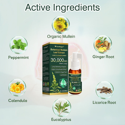 🫁⚡✅Official Store:CareRegen® Botanical Mullein Leaf Extract Lung Cleanse Spray（🫁Directly acts on COPD, asthma, chronic bronchitis (CB), respiratory infections, lung cancer, sinusitis, and other conditions🫁）🌞