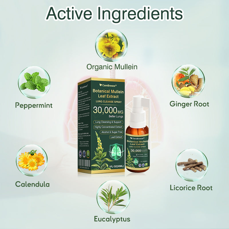 ✅Official Store:CareBreeze® Botanical Mullein Leaf Extract Lung Cleanse Spray（👨‍⚕️Directly acts on COPD, asthma, chronic bronchitis (CB), respiratory infections, lung cancer, sinusitis, and other conditions）