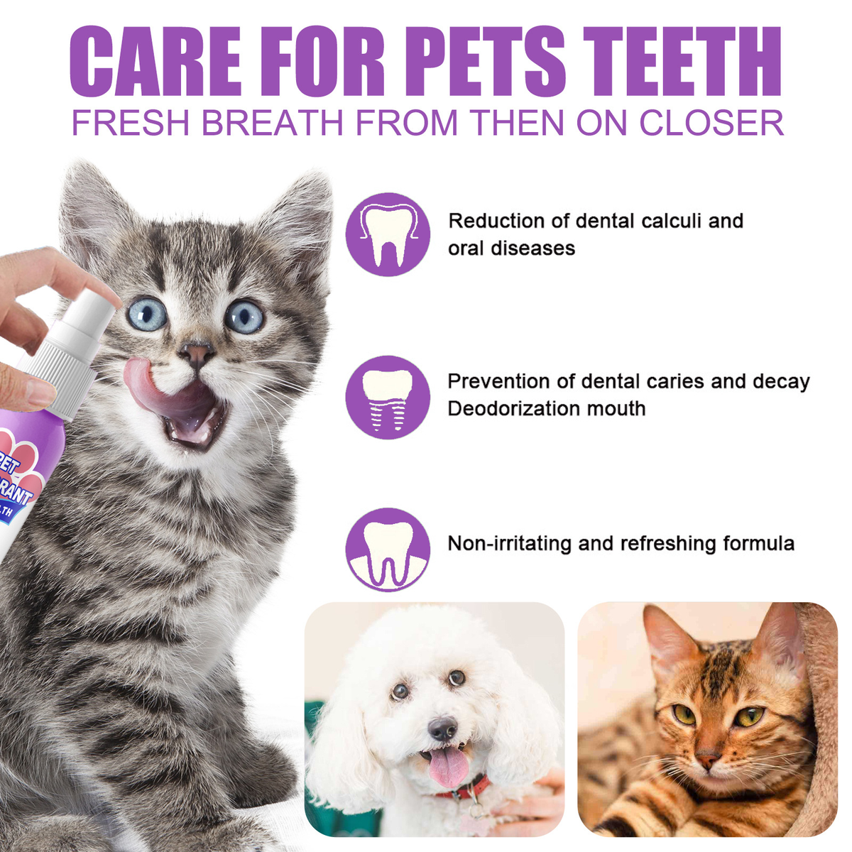 Healrize® Teeth Cleaning Spray for Dogs & Cats, Eliminate Bad Breath, Targets Tartar & Plaque, Without Brushing🌞